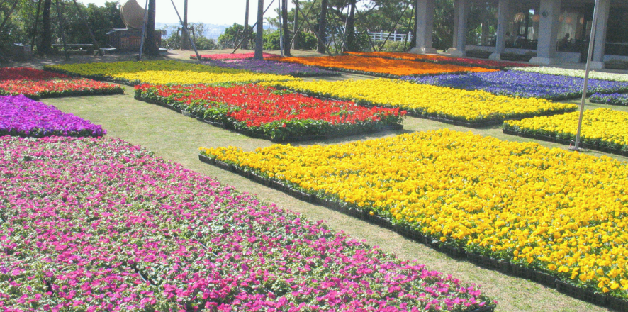 花壇やプランターの販売管理