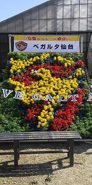 「ヴェガルタ仙台　歓迎」花文字を作成しました。